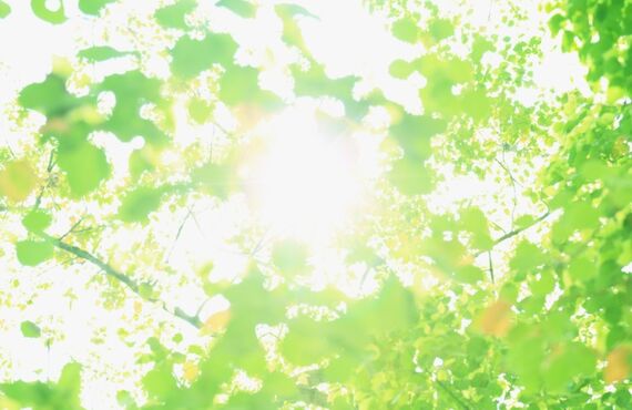 来院された方のお声| 茅野市の整体はかねこ はりきゅう マッサージ治療院 