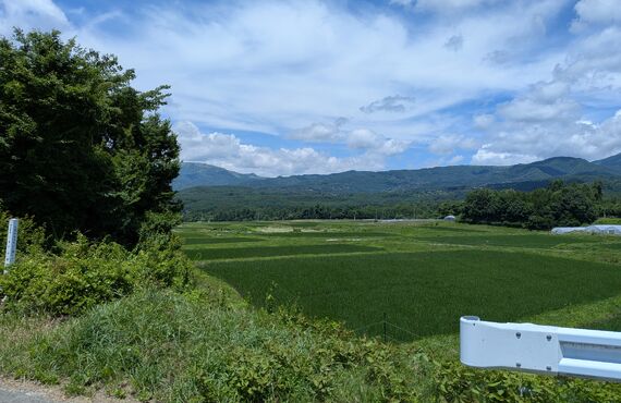 「悪口」は自分を傷つけ命を縮めてしまう⁈| 茅野市の整体はかねこ はりきゅう マッサージ治療院| 出張整体・訪問マッサージ対応可能 