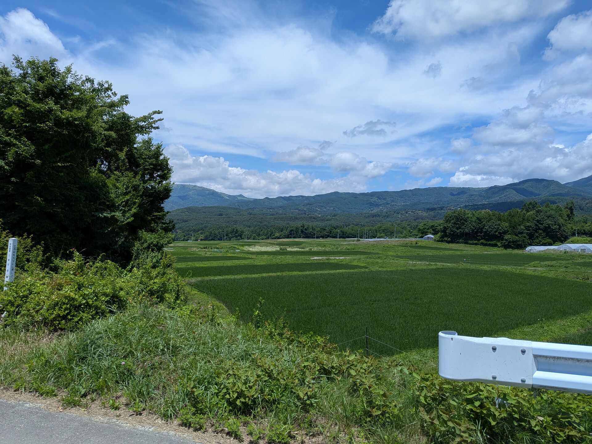 PXL_20260703_025932045.MP